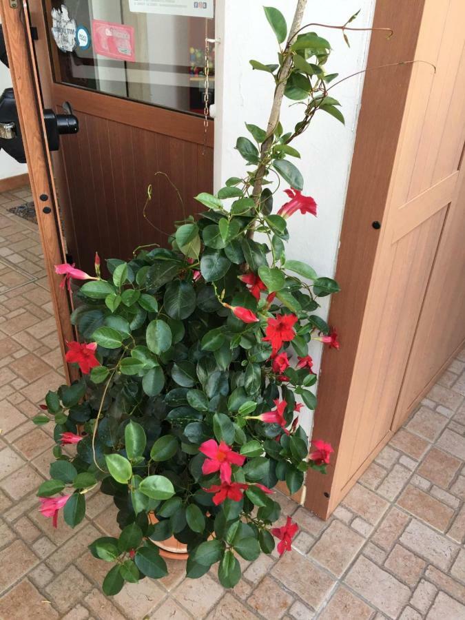 U' Fore B&B Relax Garden Ночи Экстерьер фото